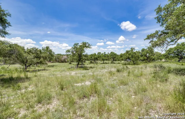 1074 Madrone Road Fischer, TX 78623
